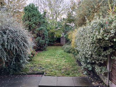 Picture 9